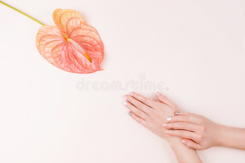 Composición de la manicura y de la flor imagen de archivo libre de regalías Composición de la manicura y de la flor imagen de archivo libre de regalías