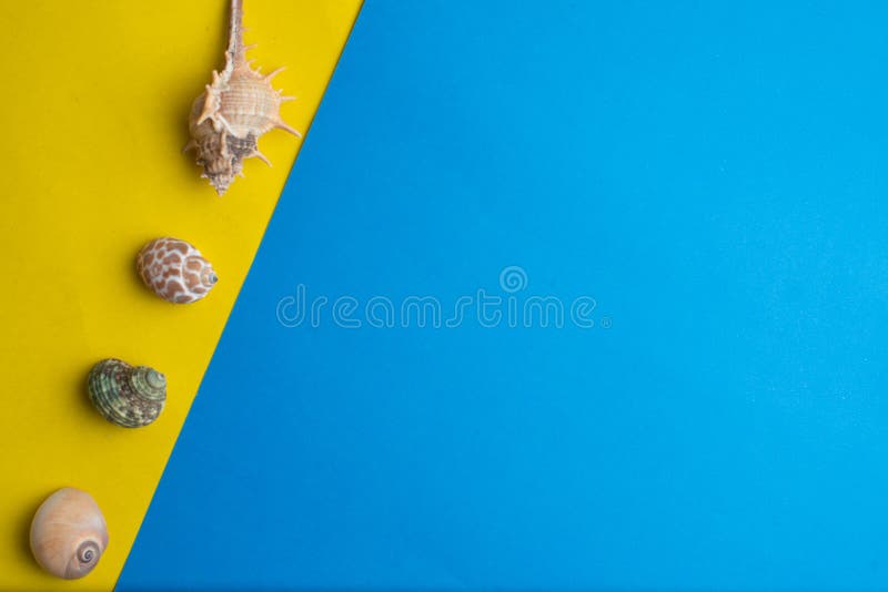 Composición de las cáscaras exóticas del mar en un amarillo y un fondo azul Concepto del verano Visi?n superior imágenes de archivo libres de regalías Composición de las cáscaras exóticas del mar en un amarillo y un fondo azul Concepto del verano Visi?n superior imágenes de archivo libres de regalías