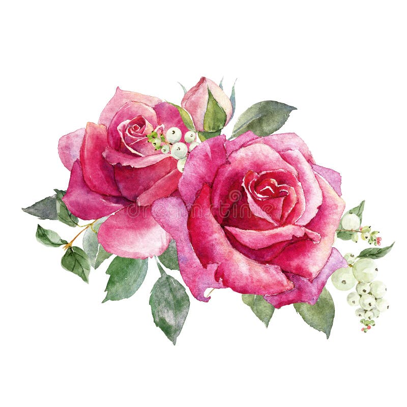 Composición de las rosas de la acuarela libre illustration Composición de las rosas de la acuarela libre illustration