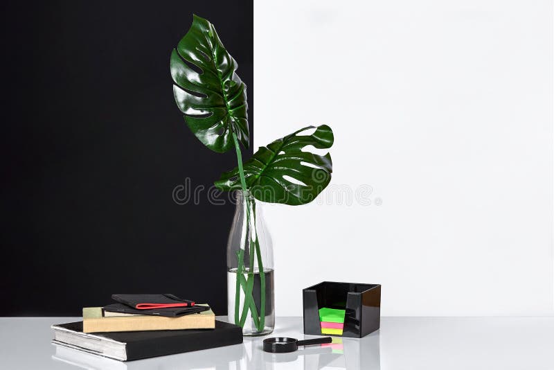 composición El verde se va en botella con un libro y una libreta para las notas en el fondo blanco y negro Vista delantera, copia imagen de archivo libre de regalías composición El verde se va en botella con un libro y una libreta para las notas en el fondo blanco y negro Vista delantera, copia imagen de archivo libre de regalías