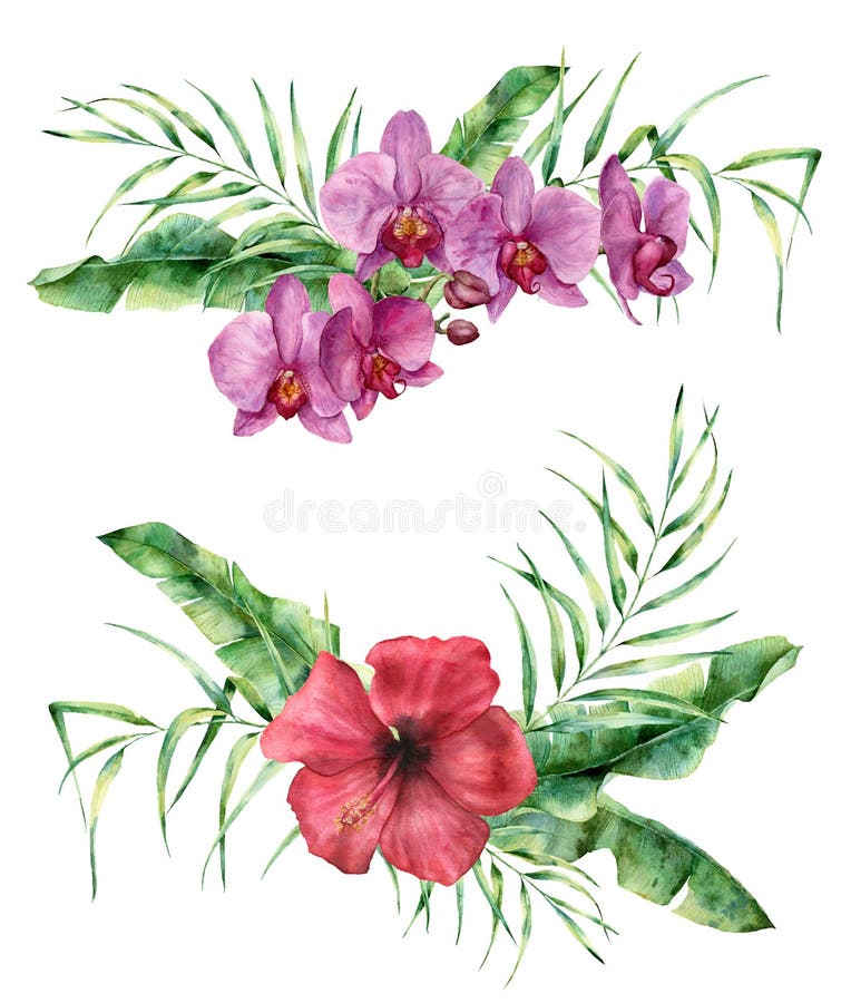 Composición floral de la acuarela con las flores y las hojas exóticas Ramo pintado a mano con el hibisco y la orquídea, hojas de stock de ilustración Composición floral de la acuarela con las flores y las hojas exóticas Ramo pintado a mano con el hibisco y la orquídea, hojas de stock de ilustración