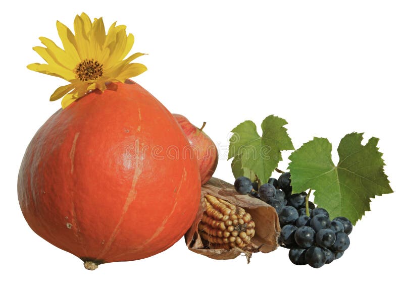 Autumnal composition of fruit and vegetables isolated on a white background. Autumnal composition of fruit and vegetables isolated on a white background