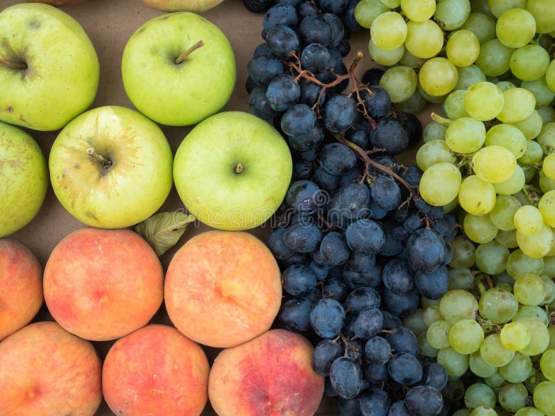 Composition with assorted fresh organic fruits royalty free stock images Composition with assorted fresh organic fruits royalty free stock images