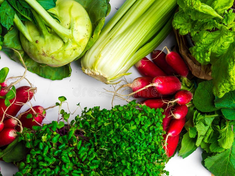 Composition with Assorted Raw Organic Vegetables Stock Image Image of