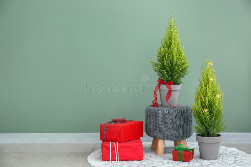 Composition with cypress trees, Christmas gifts and decorations near color wall royalty free stock image Composition with cypress trees, Christmas gifts and decorations near color wall royalty free stock image