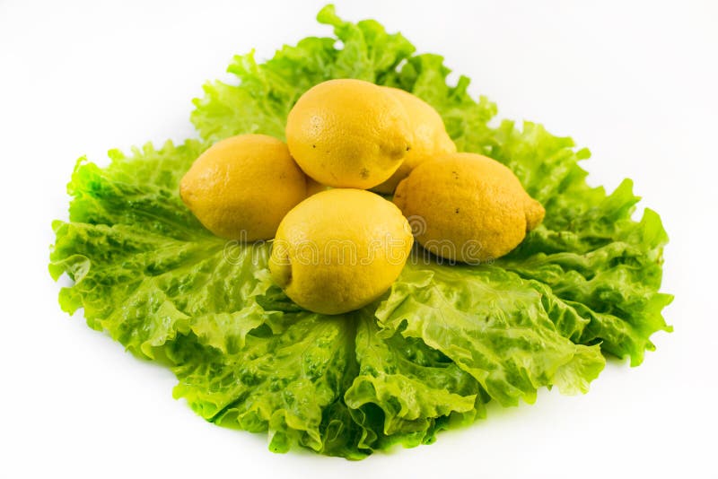 Composition de cinq citrons frais sur la salade sur le fond blanc