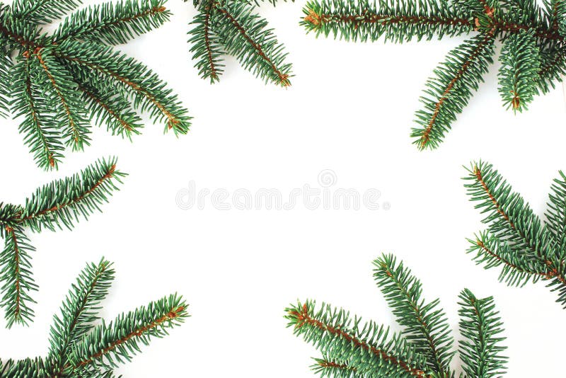 Composition de Noël Sapin vert, frontière impeccable de branches d'arbre d'isolement sur le backhround blanc de table Configurati images libres de droits