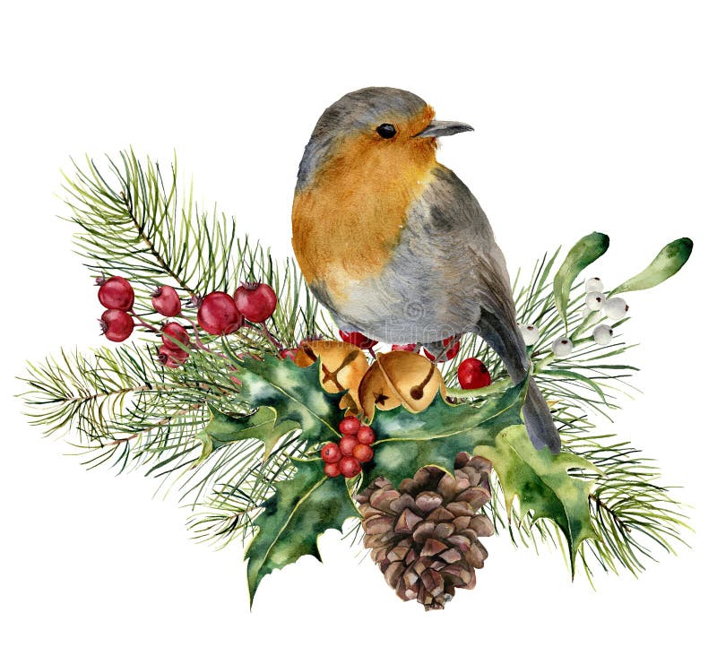 Watercolor Christmas composition with bird. Hand painted robin with fir and berry branch, mistletoe, holly, pine cone and bells isolated on white background. Holiday card. Watercolor Christmas composition with bird. Hand painted robin with fir and berry branch, mistletoe, holly, pine cone and bells isolated on white background. Holiday card.