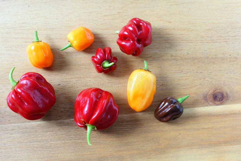 Composition en poivre de piment sur un conseil en bois photo stock Composition en poivre de piment sur un conseil en bois photo stock