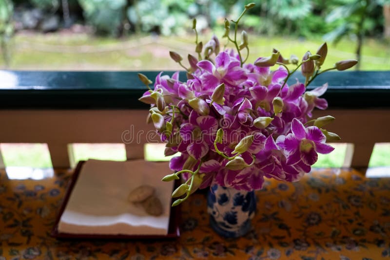 Composition florale en couleur, pourpre et blanche, en bourgeonnement et en floraison à deux tons fraîche en orchidée dans le vas photos libres de droits Composition florale en couleur, pourpre et blanche, en bourgeonnement et en floraison à deux tons fraîche en orchidée dans le vas photos libres de droits