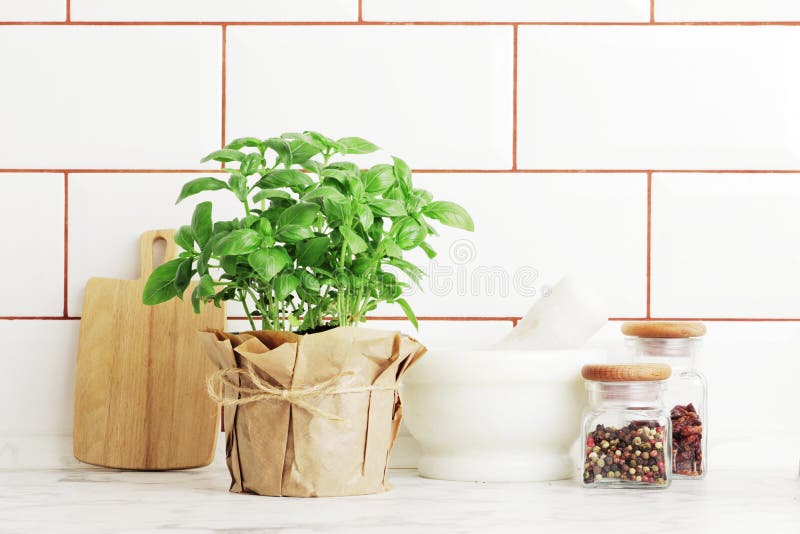 Composition of Fresh Basil and Kitchen Utensils, Spices Stock Photo