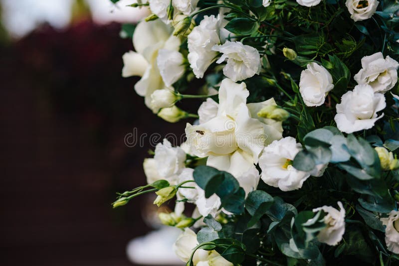 Composition of Fresh Flowers for an Outdoor Wedding Ceremony Stock