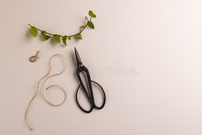 Cutting A Rope With Scissors Against White Background Stock Photo