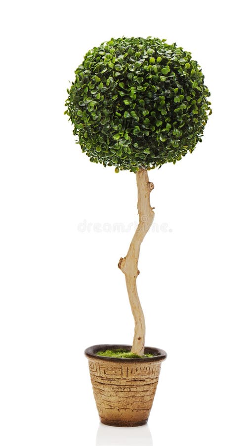 Composition from green artificial grass royalty free stock image