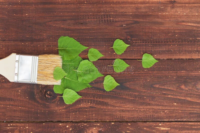Composition of Leaves. a Paint Brush Draws a Spring of Fresh Foliage