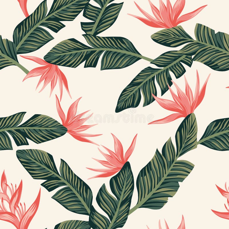 Composition sans couture des feuilles tropicales vert-foncé de banane et illustration de vecteur
