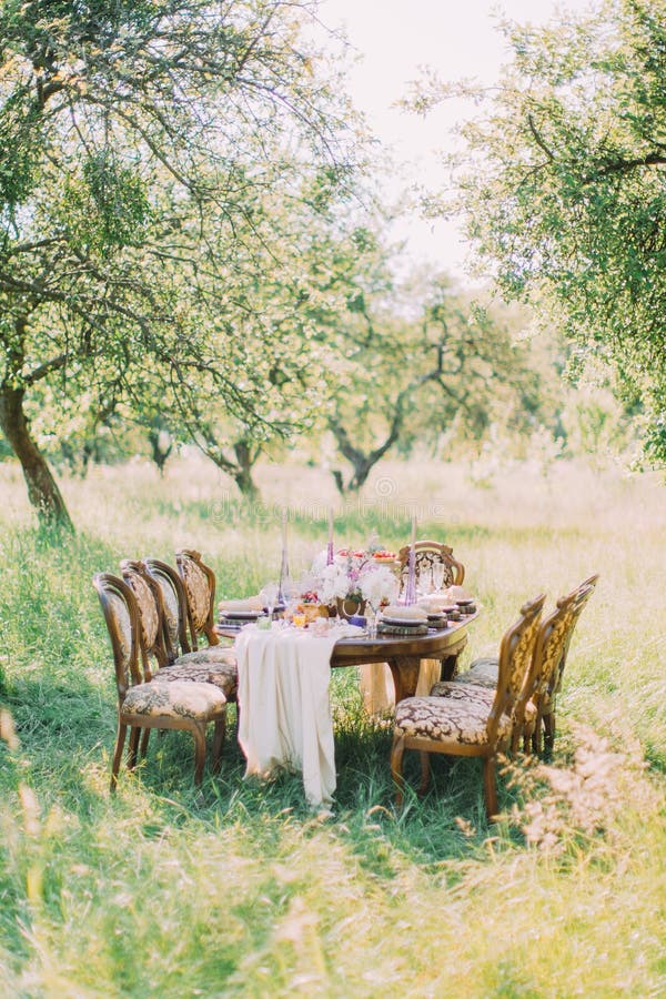 The Composition of the Table Layout Placed in the Green Field and the ...