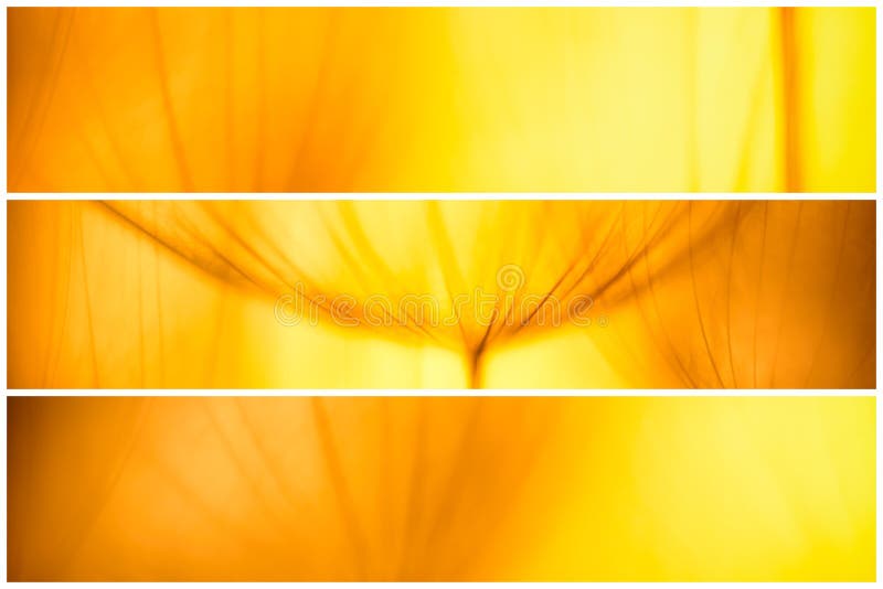 Composition - Vintage watercolor abstract background - monochrome dandelion flower stock photography Composition - Vintage watercolor abstract background - monochrome dandelion flower stock photography