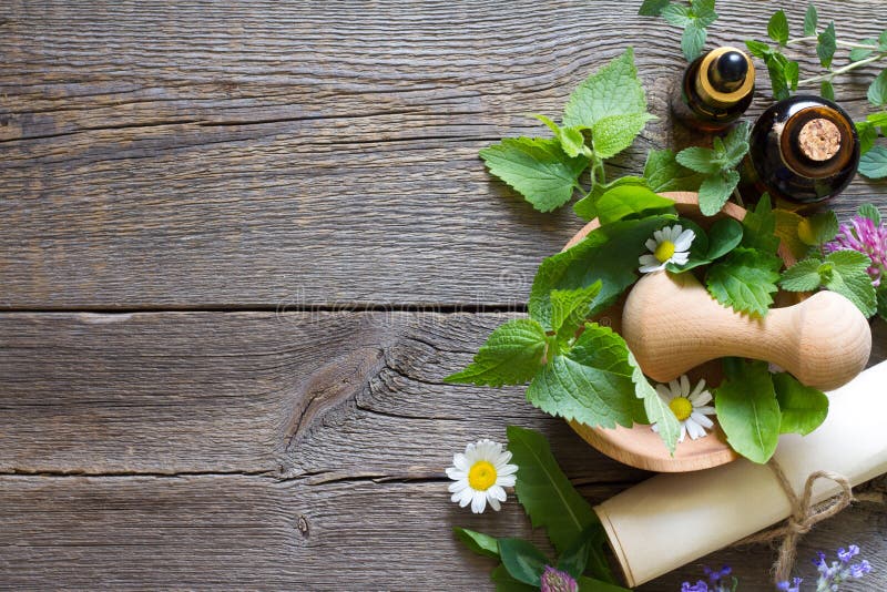 Composition with wooden mortar and different healing herbs on old boards background