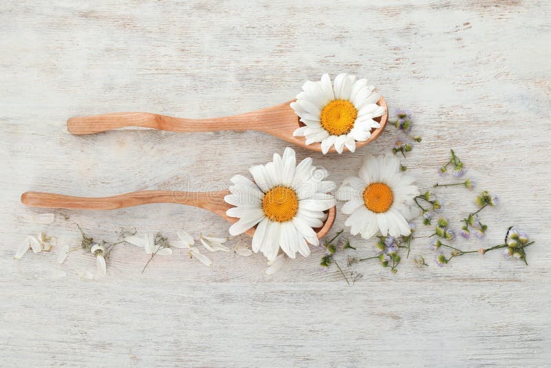 Composizione con i bei fiori e cucchiai della camomilla su fondo di legno fotografia stock libera da diritti
