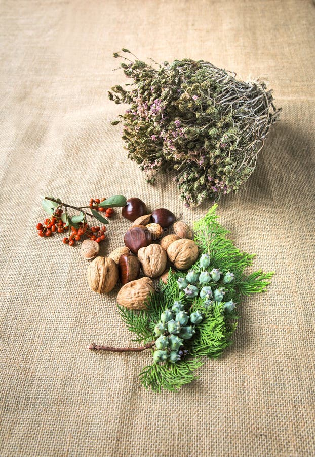 Composizione dei frutti di autunno fotografia stock libera da diritti Composizione dei frutti di autunno fotografia stock libera da diritti
