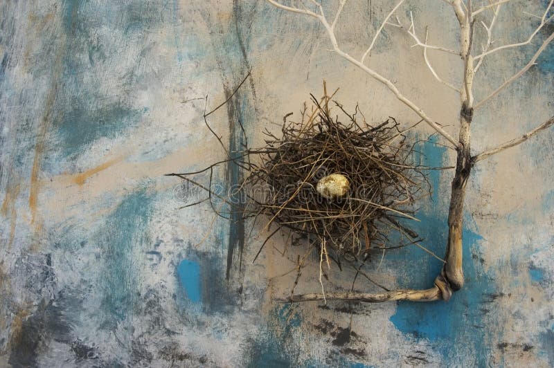 Composition Of Perpetual Structures. Bird nest and plant skeleton. Photographed on an abstract painting. Composition Of Perpetual Structures. Bird nest and plant skeleton. Photographed on an abstract painting.