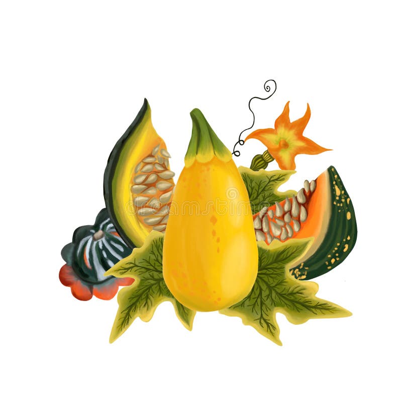 Composizione delle zucche e delle foglie su fondo bianco isolato Arte digitale, imitazione dell'olio Raccolta d'autunno, ortaggi, illustrazione di stock Composizione delle zucche e delle foglie su fondo bianco isolato Arte digitale, imitazione dell'olio Raccolta d'autunno, ortaggi, illustrazione di stock
