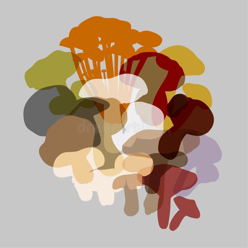 Composizione di vari funghi illustrazione di stock Composizione di vari funghi illustrazione di stock