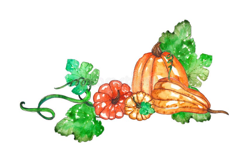 Composizione dipinta a mano nella zucca dell'acquerello royalty illustrazione gratis Composizione dipinta a mano nella zucca dell'acquerello royalty illustrazione gratis
