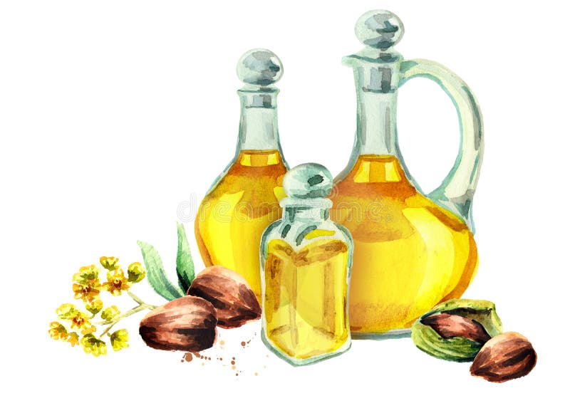Composizione disegnata a mano nell'acquerello con le bottiglie di olio di jojoba illustrazione di stock Composizione disegnata a mano nell'acquerello con le bottiglie di olio di jojoba illustrazione di stock