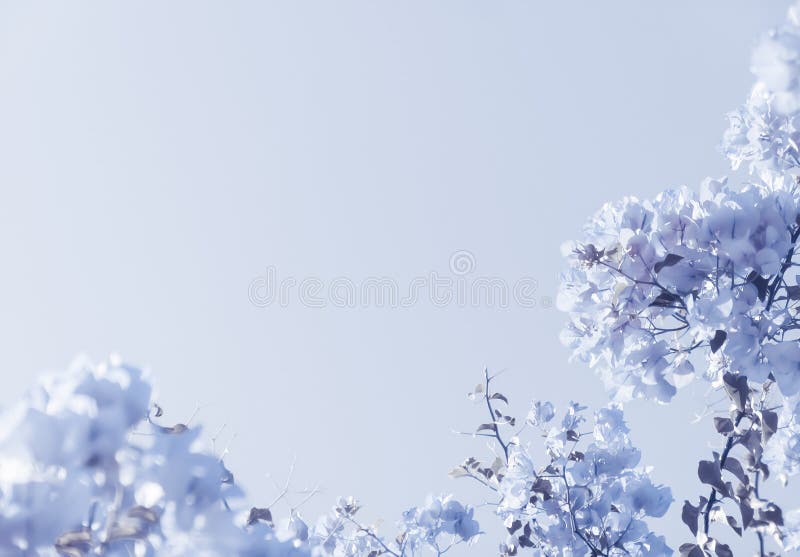 Composizione floreale blu immagini stock Composizione floreale blu immagini stock