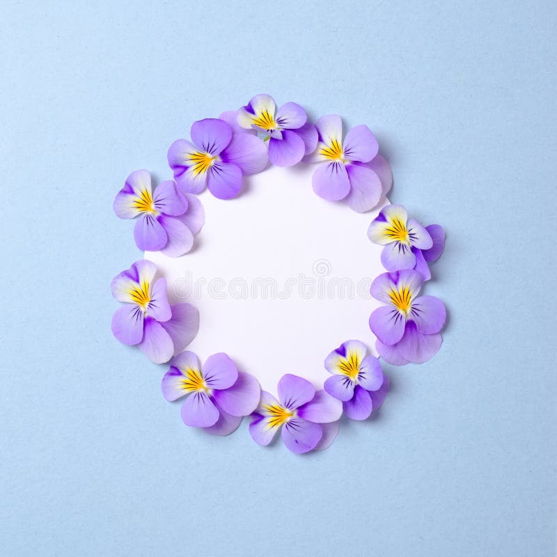Composizione posta piana creativa: carta in bianco del cerchio e petali di fioritura del fiore su fondo blu Vista superiore, stru fotografia stock Composizione posta piana creativa: carta in bianco del cerchio e petali di fioritura del fiore su fondo blu Vista superiore, stru fotografia stock