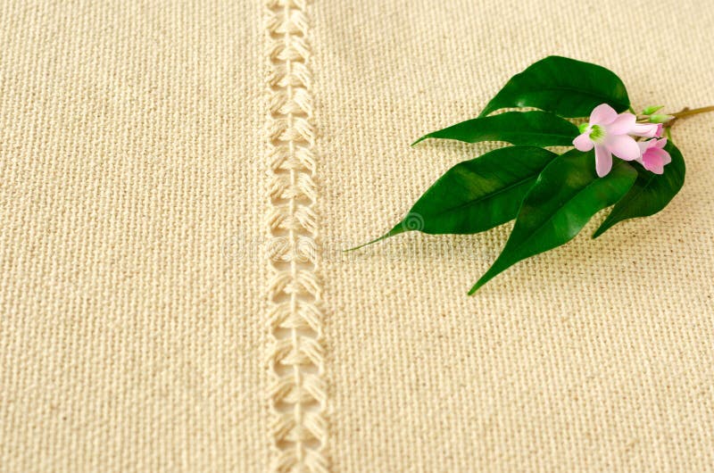 Composição da flor da mola imagem de stock Composição da flor da mola imagem de stock