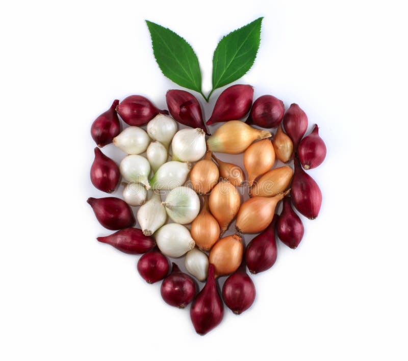 Onions heart composition, many colours isolated. Onions heart composition, many colours isolated