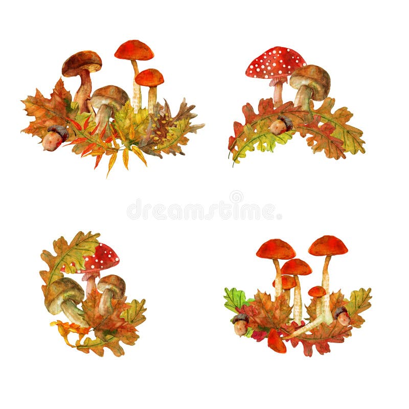 Composição do outono com folhas bonitas ilustração do vetor Composição do outono com folhas bonitas ilustração do vetor