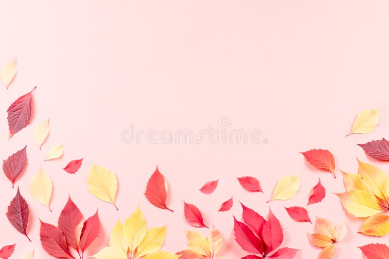 Composição do outono Quadro feito das folhas de outono vermelhas e amarelas no fundo cor-de-rosa Configuração lisa, vista superio ilustração royalty free Composição do outono Quadro feito das folhas de outono vermelhas e amarelas no fundo cor-de-rosa Configuração lisa, vista superio ilustração royalty free
