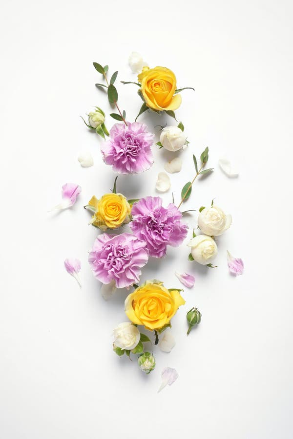 Composição lisa da configuração com as flores de florescência bonitas imagem de stock royalty free Composição lisa da configuração com as flores de florescência bonitas imagem de stock royalty free