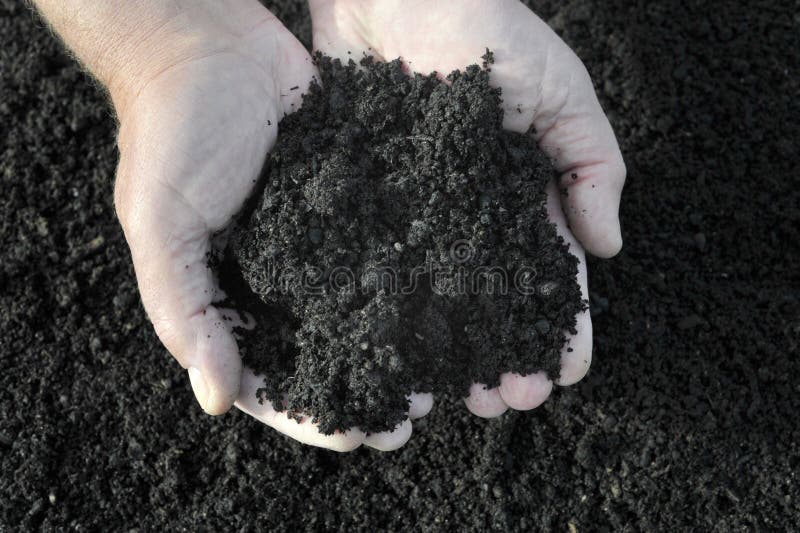 Gardener's hands holding garden compost.