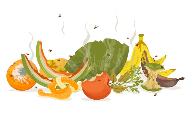 Vegetable Peels Stock Illustrations 31 Vegetable Peels Stock