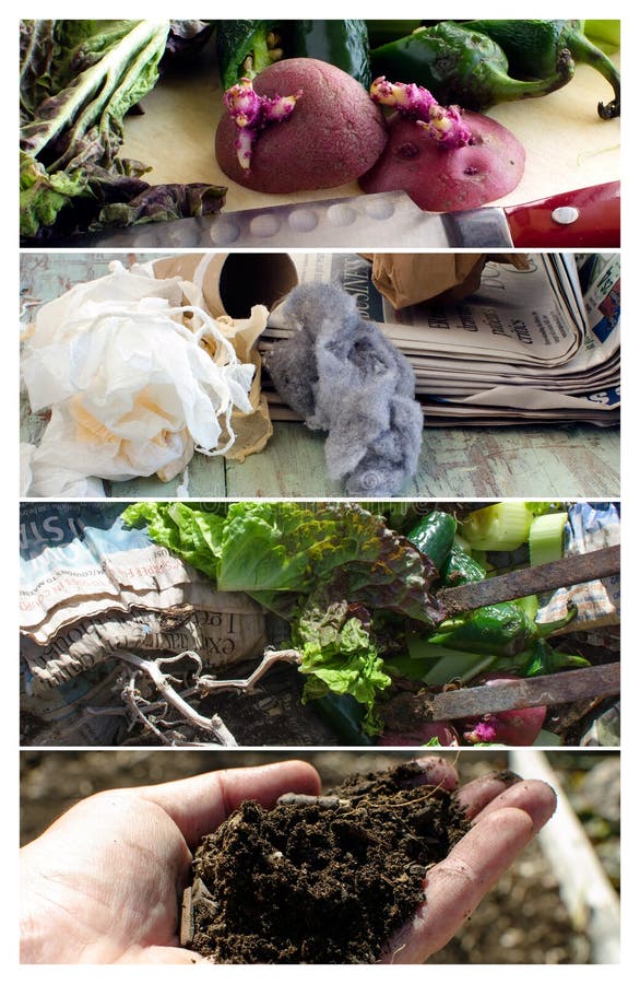 Composting kitchen scraps stock photo. Image of eating 38905326