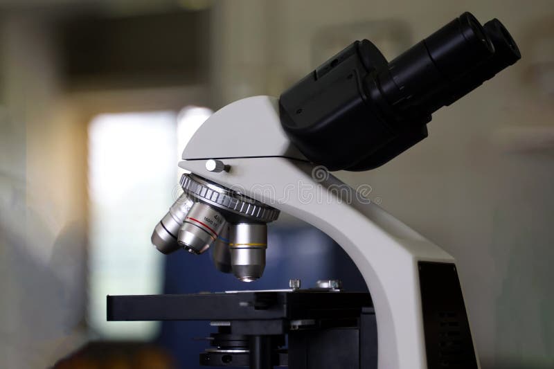 Compound Microscope focuses on the objective lens and body tube. stock photography