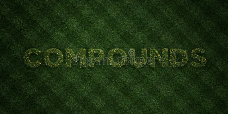 Compounds Fresh Grass Letters With Flowers And Dandelions 3d