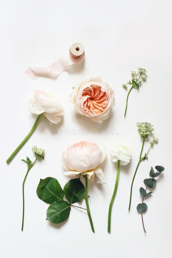 Compoziția florală botanică de vară. caise english roses ranunculus astrantia flowers eucalyptus branch și pink stock images