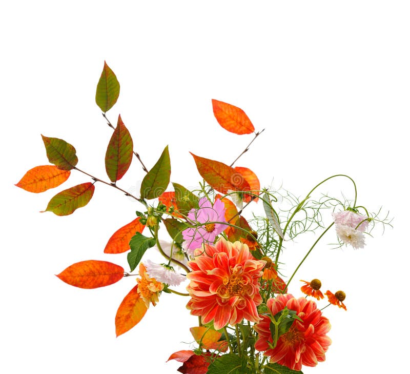 Compoziția florală de toamnă stock photography