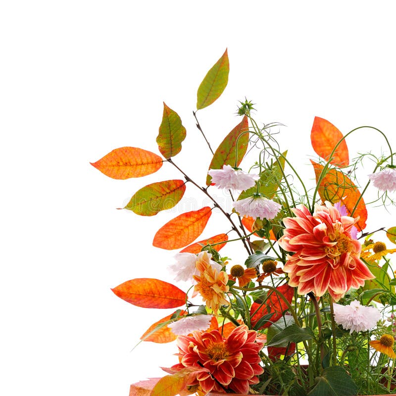 Compoziția florală de toamnă stock photos