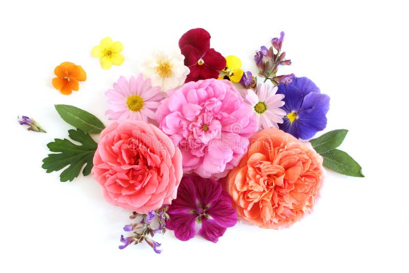 Compoziția florală feminină. buchet de flori și ierburi comestibile, sălbatice și de grădină. boșorogi stock photos