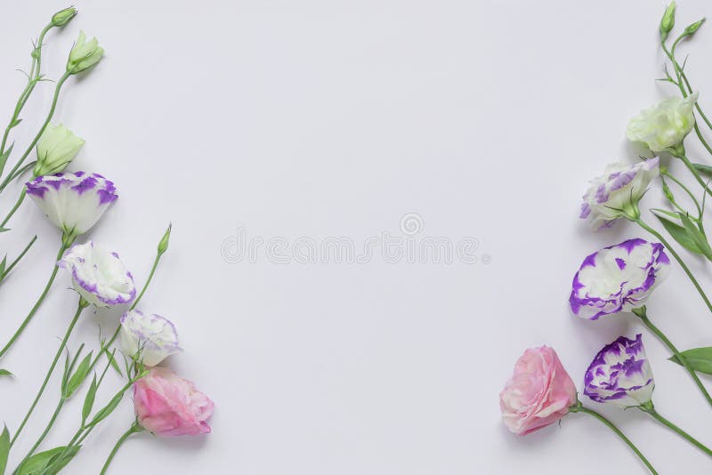 Compoziție florală alcătuită din flori frumoase de eustoma pe fond alb. stil minim. concept de natură. spațiu pentru copiere în vizualizarea de sus. plat