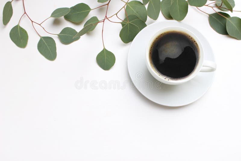 Compoziție florală alcătuită din frunze de eucalipt verde și ramuri pe fond alb din lemn, cu ceașcă de cafea. feminină royalty free stock photo