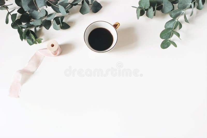 Compoziție florală alcătuită din frunze de eucalipt verde și ramuri pe fond alb din lemn, cu ceașcă de cafea și mătase royalty free stock photography