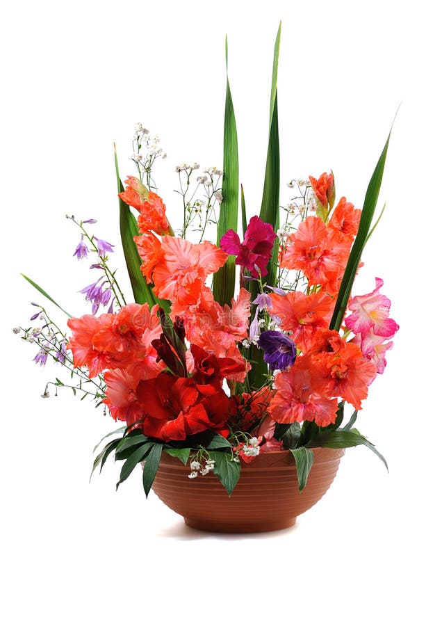 Compoziție florală de gladiolus stock photos